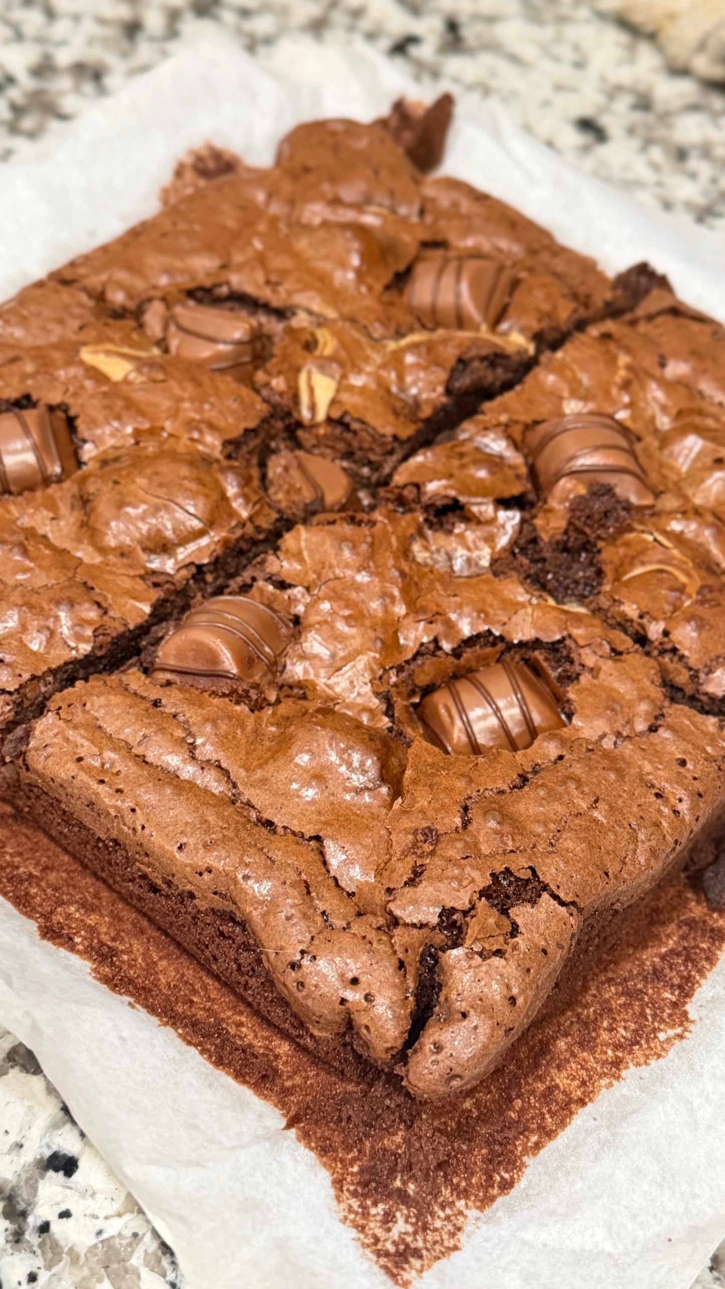 Pudgey Brownie