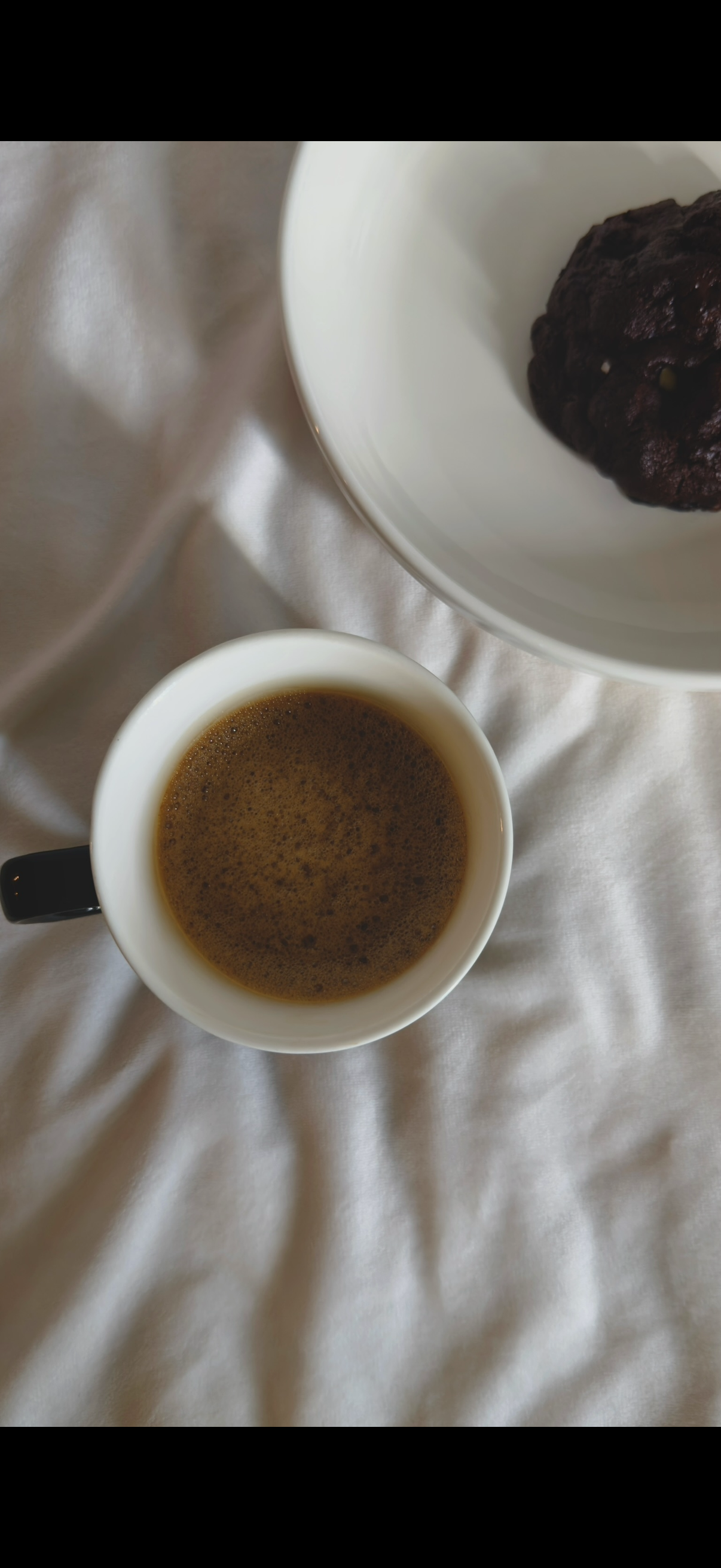 St. Pudger's Day Cookie