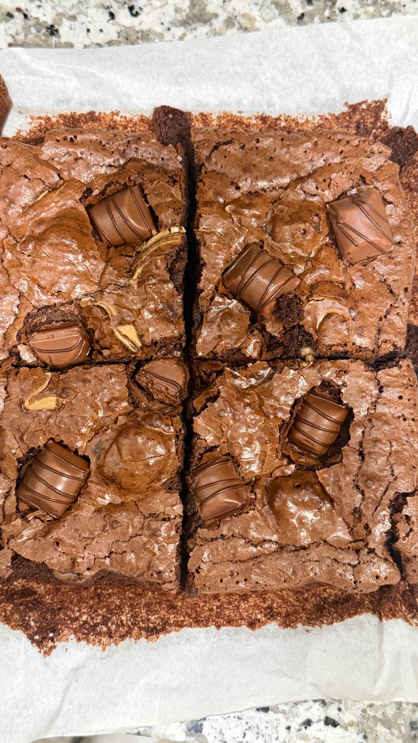 Pudgey Brownie